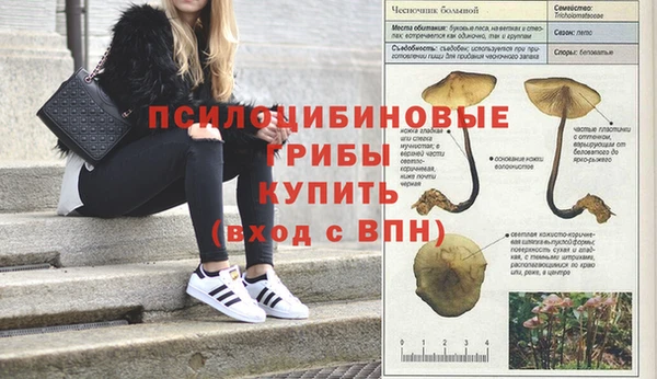 прущий лед Магадан