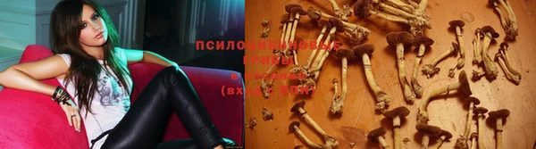 прущий лед Магадан