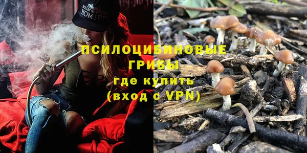 метадон Магас