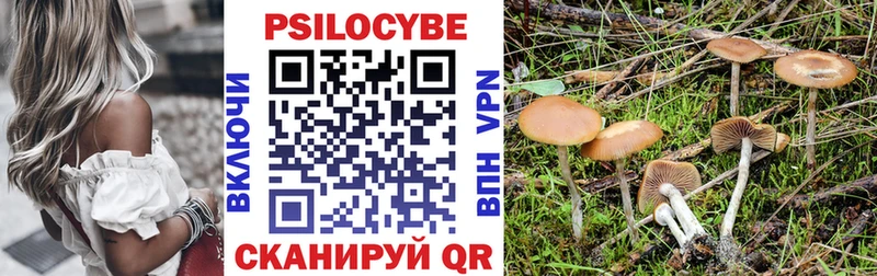 где можно купить наркотик  Чехов  Галлюциногенные грибы Cubensis 
